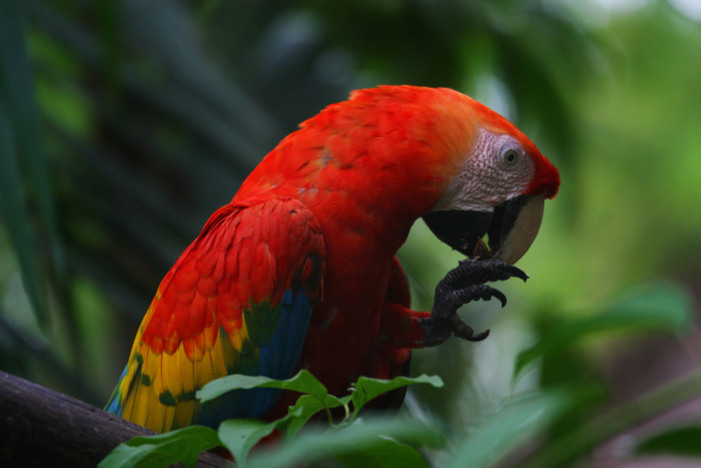 2067170260_366d7c3ec5_o