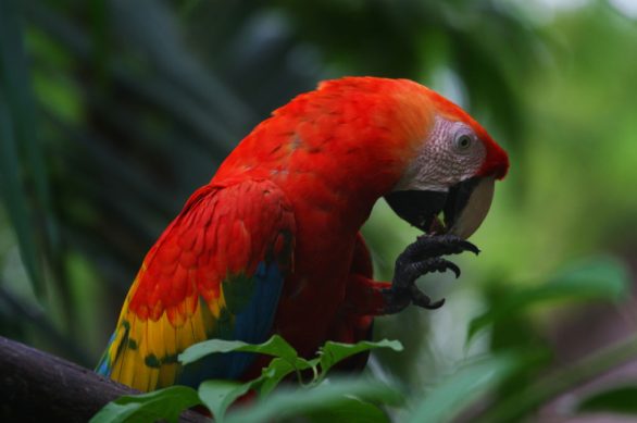 2067170260_366d7c3ec5_o